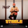 Stable Stable