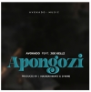 Apongozi Apongozi