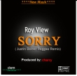 Sorry (Justin Bieber Reggae Remix)