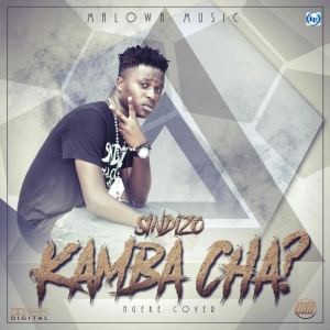 Wachepa (ft Nyasa B, Mafo, Em Jay, Slyc, Heppo, Kay Millz, G-Kho, Kleff C, Roudeezy, Dickiez, Zafrey)