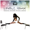 Levels Remix