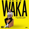 Waka Waka