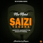 Saizi Yakana