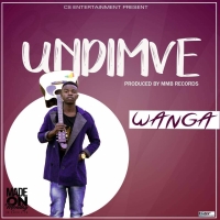 Undimve
