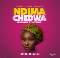 Ndimachedwa