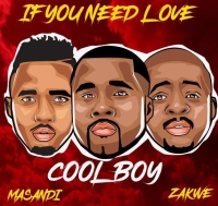 If You Need Love