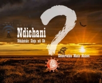 Chikuchitika Ndichani?