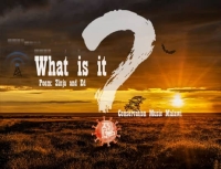 What Is It?