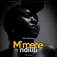 Mmene Ndilili