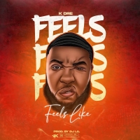 Feels Like