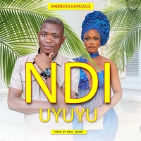 Ndi Uyuyu