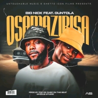 Osamazibisa