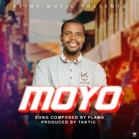 Moyo Moyo