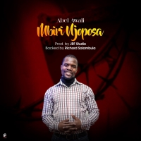 Mbiri Njoposa