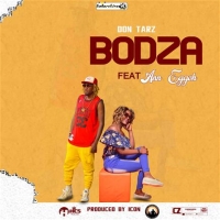Bodza
