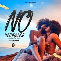 No Insurance 