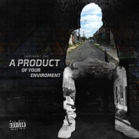 A Product Of Your Environment