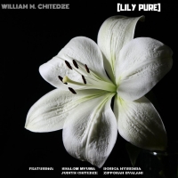 Lily Pure