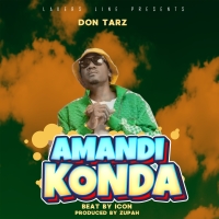 Amandikonda