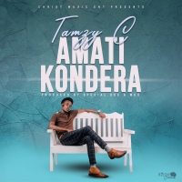 Amatikondera