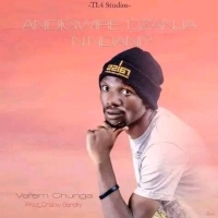 Andigwile Dzanja Ndani