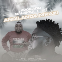 Andilanda Mkazi