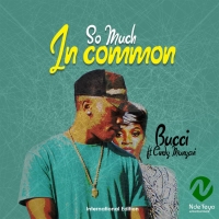 Music by Bucci