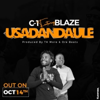 Usadandaule