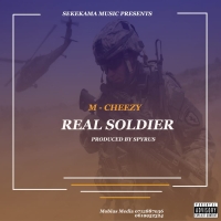 Real Soldier Real Soldier