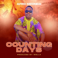 Counting Days