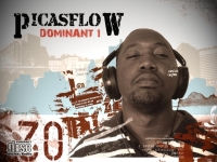 Picasflow