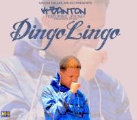 Dingolingo