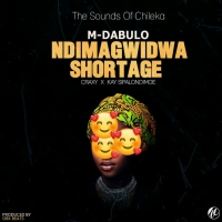 Ndimagwidwa Shortage Ndimagwidwa Shortage