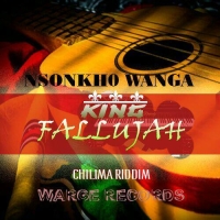 Nsonkho Wanga