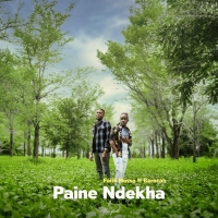 Paine Ndekha Paine Ndekha