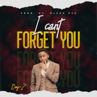 I Cant Forget You