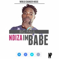 Ndidzaimbabe
