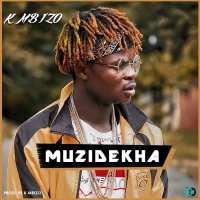 Muzidekha