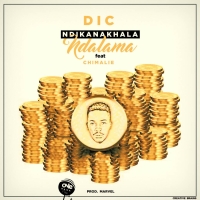 Ndikanakhala Ndalama