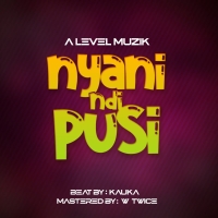 Nyani Ndi Pusi