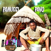 Pamudzi Pano