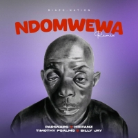 Ndomwewa Remix