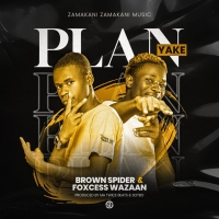 Plan Yake