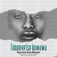 Timumvetse Kuwawa
