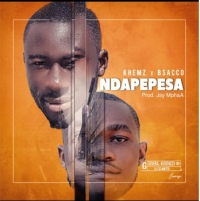 Ndapepesa