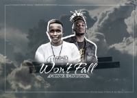 Won't Fall