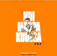 Ndimaopa Kubesa