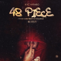 48 Piece 