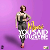 You Said You Love Me
