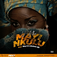 Mai Nkulu